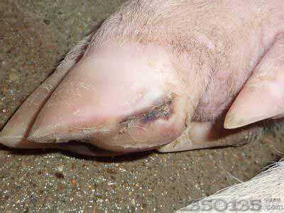 �i�����Ǻ�ԭ����ν�Q��