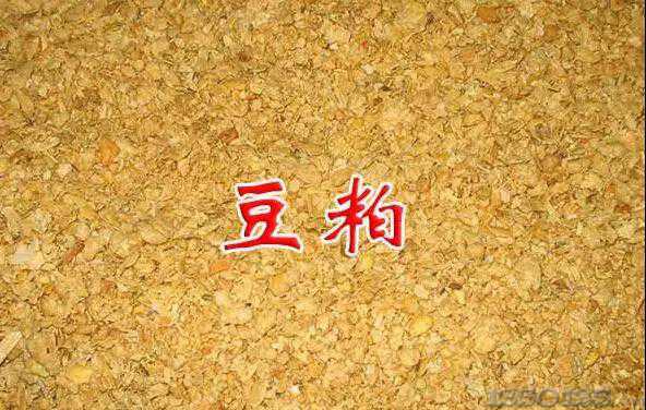 ��϶������˽�᣿